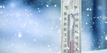 17322057951841911854