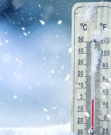 17322057951841911854