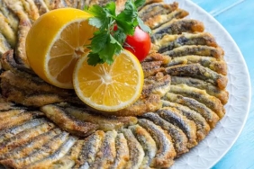 17322110131898554972