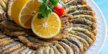 17322110131898554972