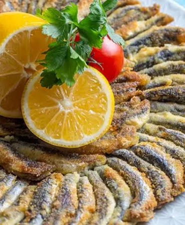 17322110131898554972