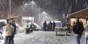 17323974711386879992