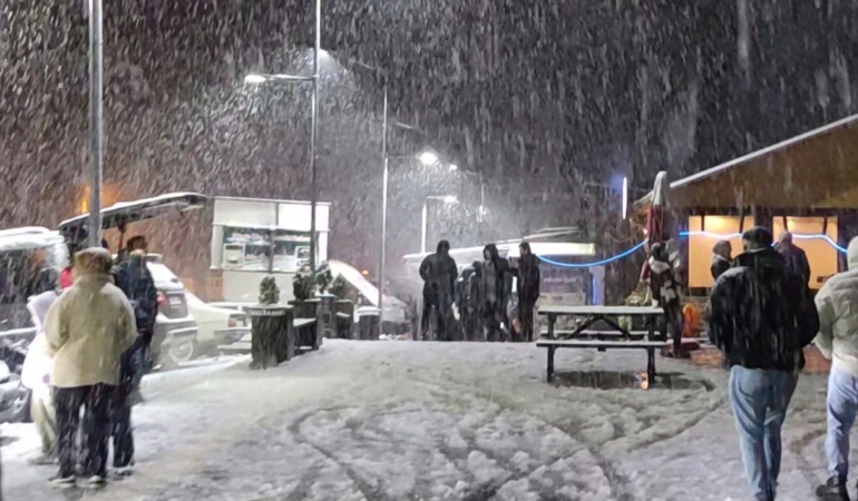 17323974711386879992