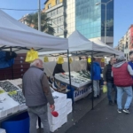 ZONGULDAK'TA FİYATI DÜŞEN HAMSİYE VATANDAŞLARDAN YOĞUN İLGİ