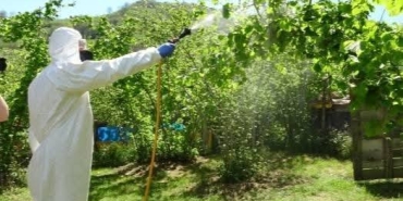 475642843_10231871620225720_2004717732527498408_n