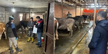 482273316_17990019050787721_8435684266438581614_n