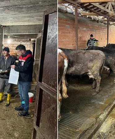 482273316_17990019050787721_8435684266438581614_n