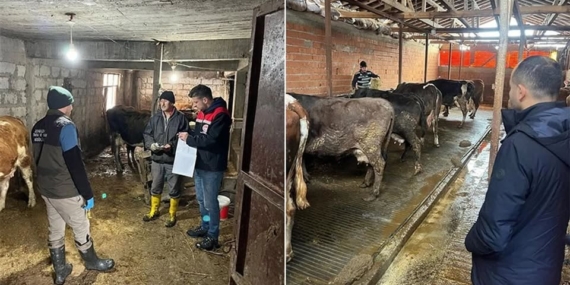 KDZ.EREĞLİ DE ŞAP HASTALIĞI ŞÜPHESİ EKİPLERİ HAREKETE GEÇİRDİ