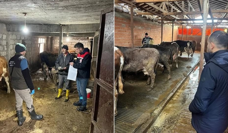 482273316_17990019050787721_8435684266438581614_n