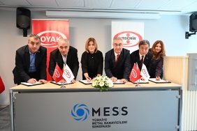 Erdemir_TIS