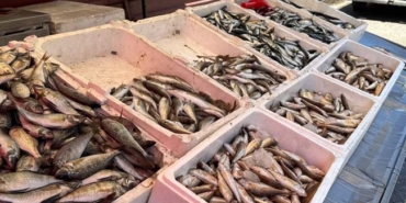 AV SEZONU SONA ERMESİNE RAĞMEN ZONGULDAK'TA TEZGAHLAR ŞENLENDİ