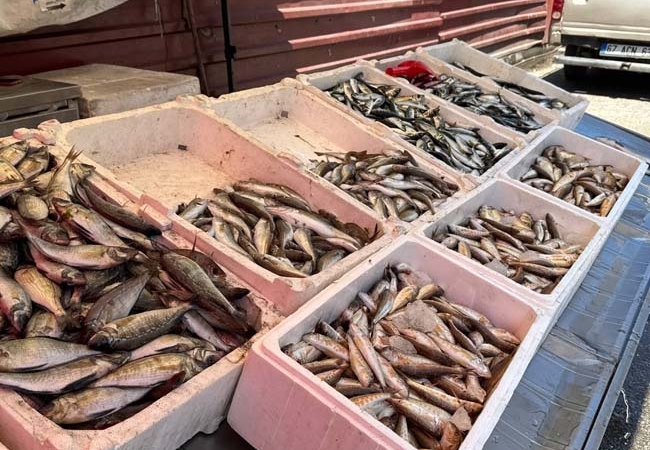 AV SEZONU SONA ERMESİNE RAĞMEN ZONGULDAK'TA TEZGAHLAR ŞENLENDİ