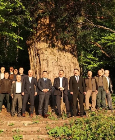 FB_IMG_1747382261279