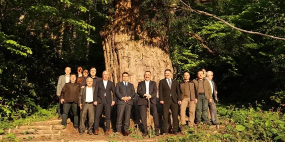 ZONGULDAK VALİSİ HACIBEKTAŞOĞLU, 4 BİN 121 YAŞINDAKİ ANIT AĞACI ZİYARET ETTİ