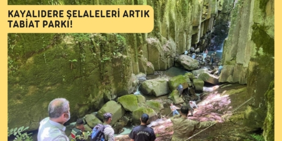 Kayalıdere Şelaleleri Tabiat Parkı oldu!..