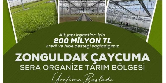 Sera Organize Tarım Bölgesi Üretime Başladı