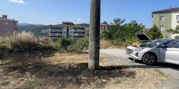 OLMAYACAK OLDU. KOPAN ELEKTRİK TELLERİ OTLARI, OTLARDA ARACI YAKTI.