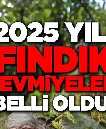 515983265_18004620689787721_8054578568451581123_n