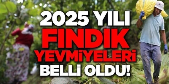 2025 fındık işçisi yevmiyeleri belli oldu