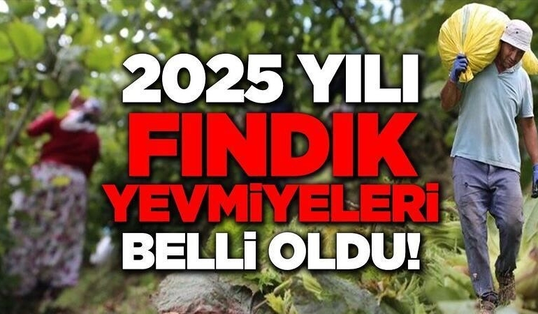 515983265_18004620689787721_8054578568451581123_n