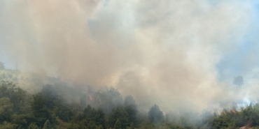 FB_IMG_1752057500251