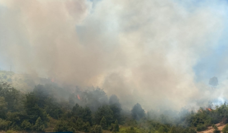 FB_IMG_1752057500251