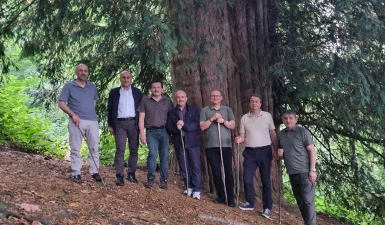 FB_IMG_1752311449494