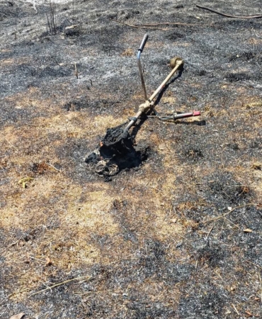 FB_IMG_1753525372044