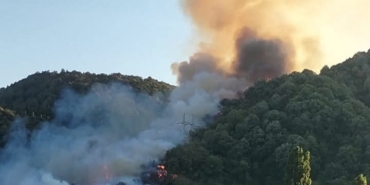 FB_IMG_1753547472936