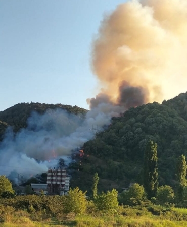 FB_IMG_1753547472936