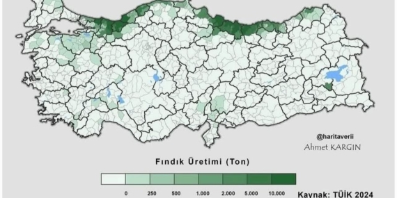 ALAPLI, FINDIK ÜRETİMİNDE 6. SIRADA