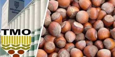 532011314_18009703706787721_7082910742108238682_n