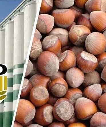 532011314_18009703706787721_7082910742108238682_n