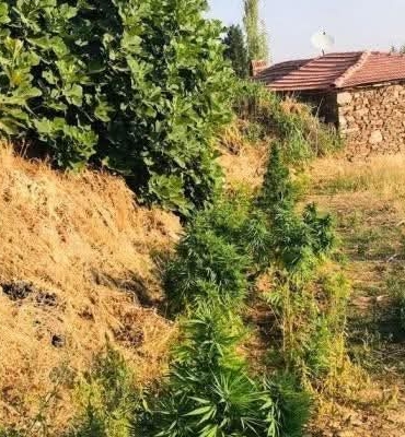 FB_IMG_1754064269865