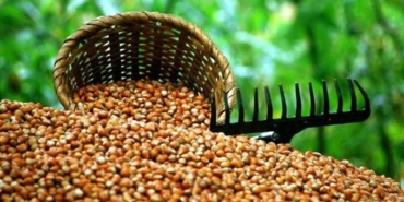 FB_IMG_1754409324922