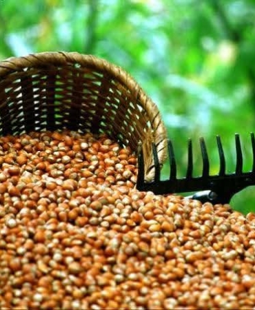 FB_IMG_1754409324922