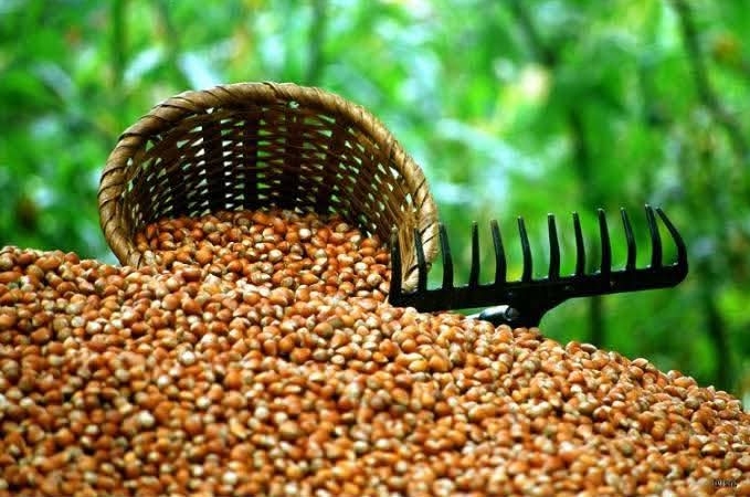 FB_IMG_1754409324922