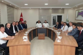 FB_IMG_1756300425578