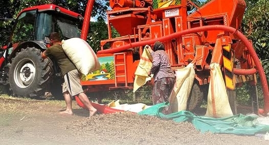 ALAPLI İLÇE MERKEZİ VE MAHALLELERDE FINDIK KURUTMAK VE PATOZ YAPMAK YASAKLANDI