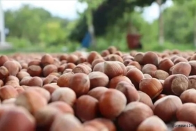 542753444_18012449648787721_8655078028322939001_n