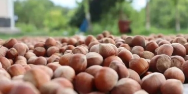 542753444_18012449648787721_8655078028322939001_n