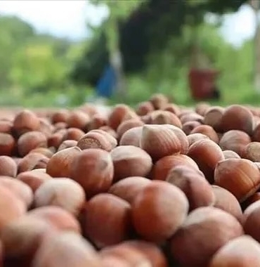 542753444_18012449648787721_8655078028322939001_n