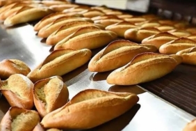 545261578_18012410498787721_3540248313640486641_n