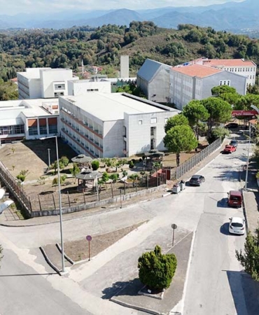 7c905c65-e7ed-42b9-ab01-74450d6d8e29