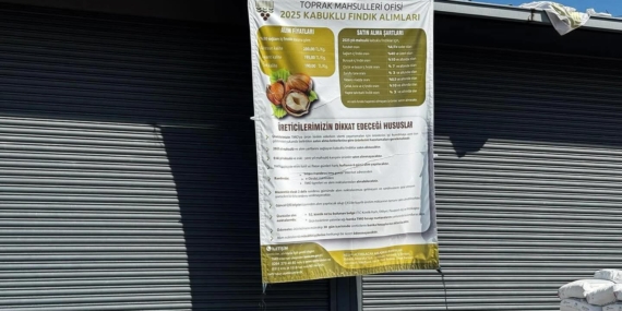 TMO’DA FINDIK ALIMLARI ADETA DURMUŞ DURUMDA