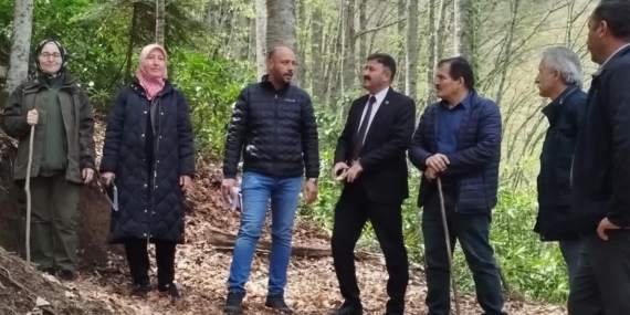 BÖLÜKLÜ YAYLASI VE PORSUK AĞACI ÇEVRESİNDE YENİ DÜZENLEMELER