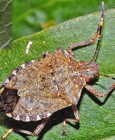 FB_IMG_1759919505273