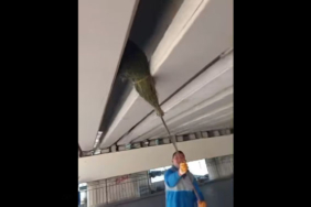 573056897_18018315536787721_8475497668824552808_n