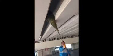 573056897_18018315536787721_8475497668824552808_n