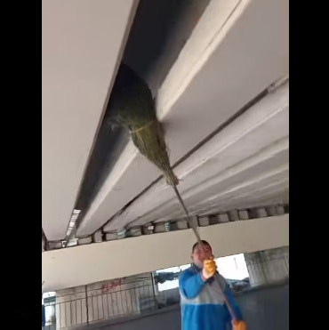 573056897_18018315536787721_8475497668824552808_n